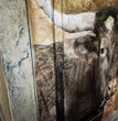 Texas Longhorn - Decoupage Paper - MINT/GGS