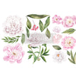 Morning Peonies, 6"x12" - ReDesign Small Decor Transfer