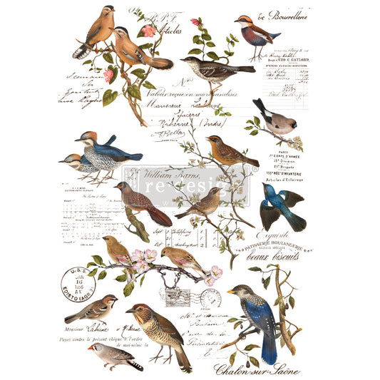 Postal Birds - ReDesign Decor Transfer