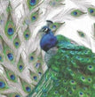 Peacock Rice Paper (R0323)- ITD Collection