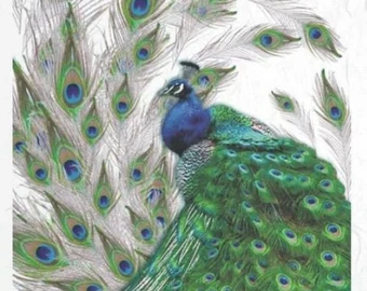 Peacock Rice Paper (R0323)- Decoupage Queen