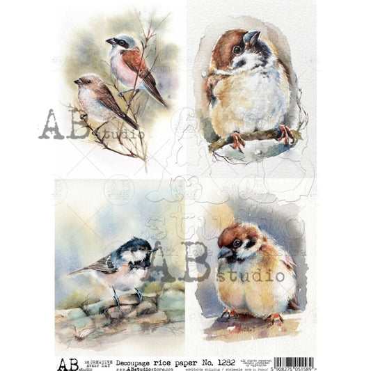 Watercolor Birds (#1282) Rice Paper- Decoupage Queen