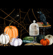 Halloween Skulls, Pumpkins & Crows Decoupage Tissue - Deborah Bucher Designs