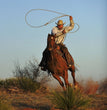 Cowboy Roper Decoupage Tissue - Deborah Bucher Designs