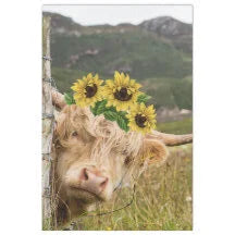 Scottish Highland with Sunflowers Decoupage Tissue - Deborah Bucher Designs