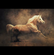 Palomino Horse Decoupage Tissue - Deborah Bucher Designs